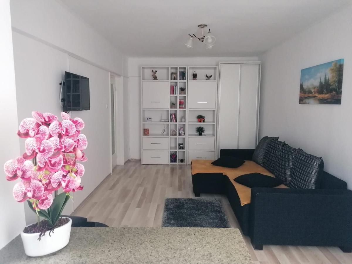 Apartament Racadau Брашов Екстер'єр фото